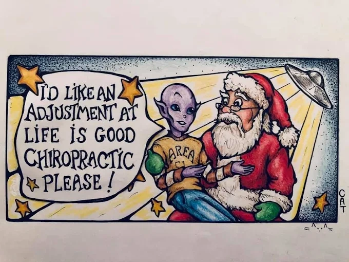 life is good chiropractic chiropractor brodheadsville PA 13