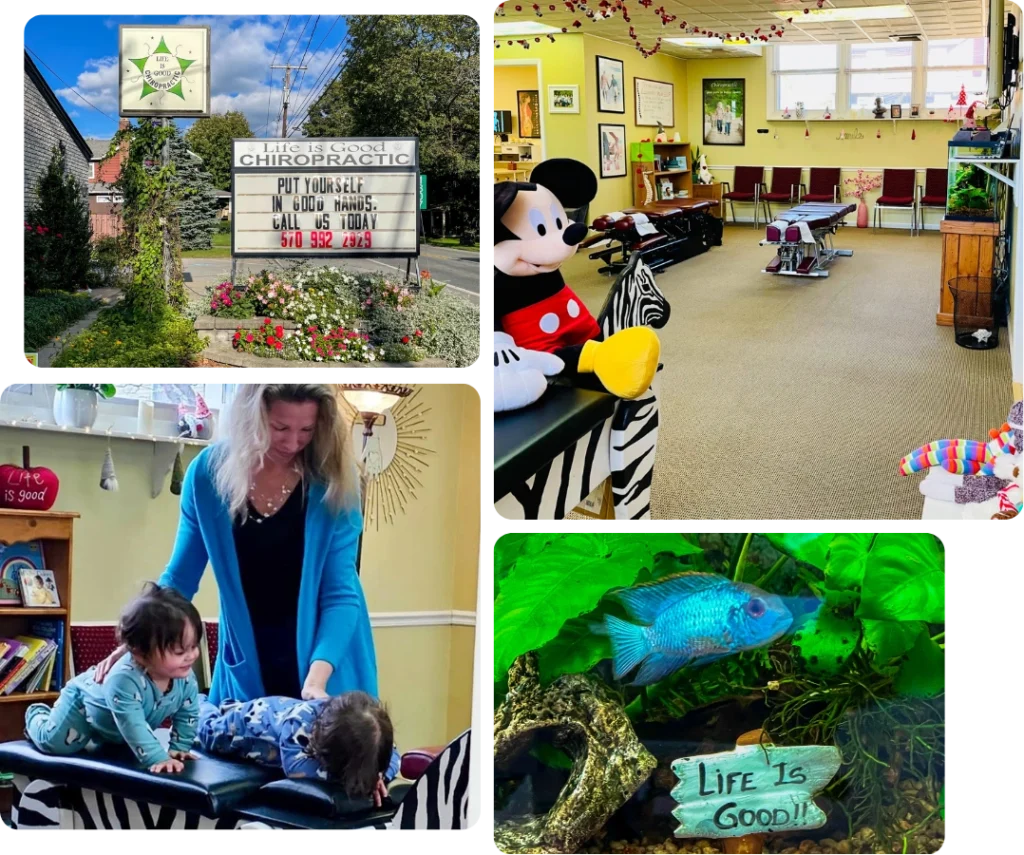 Walk-in chiropractor environment at our family-friendly chiropractic office in Brodheadsville, PA.