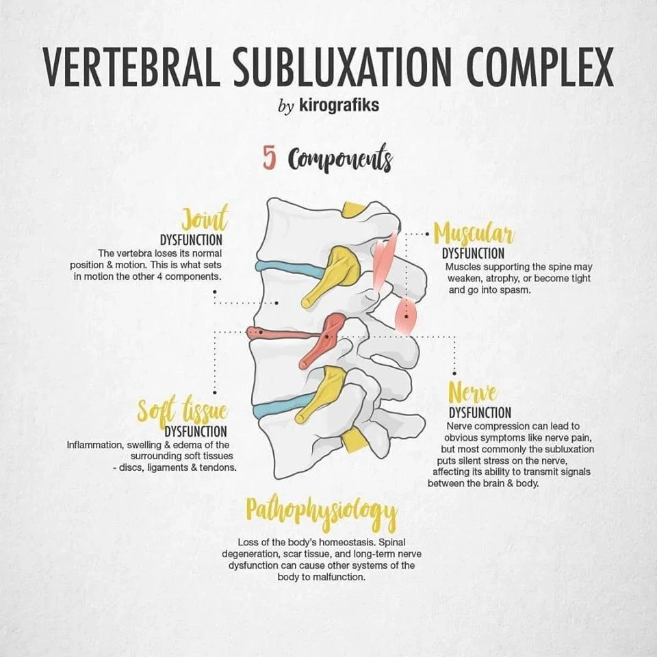 life is good chiropractic chiropractor brodheadsville PA about subluxations 5